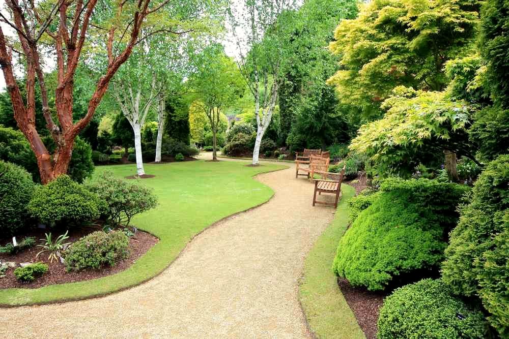 Création et aménagement de jardin près de Vergèze